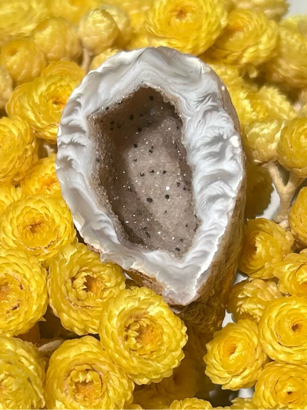 Agate Geode with Sparkling Druzy (1)